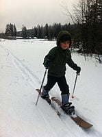 Balla Hok Ski (Kids / Enfants)