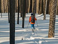Hok Ski Hok Ski